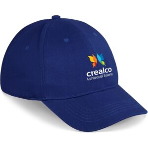 pro basic cap 6 panel