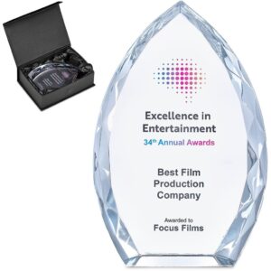 altitude trident award