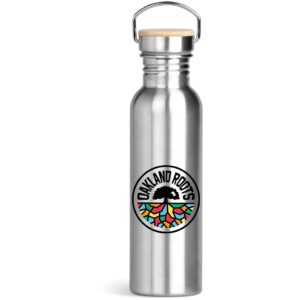 altitude girvana stainless steel water bottle 700ml