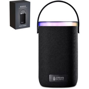 swiss cougar madrid 30w bluetooth speaker