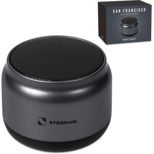 swiss cougar san francisco bluetooth speaker