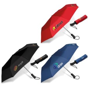 whimsical auto open compact umbrella