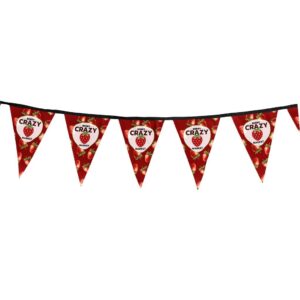 sublimated single sided polyester triangle bunting 10m
