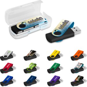 altitude axis gyro black flash drive 16gb