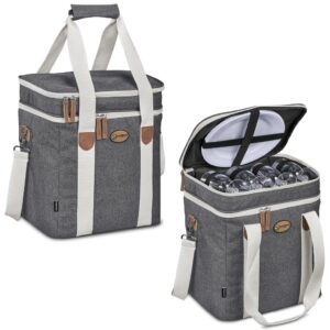 serendipio brookfield 4 person picnic cooler