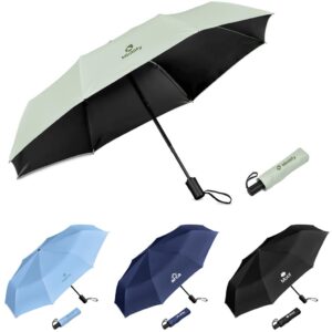 serendipio sleet auto open compact umbrella